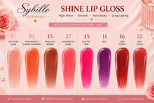 Load image into Gallery viewer, Pearlescent Mirror Lip Glaze Liquid Lip Gloss
